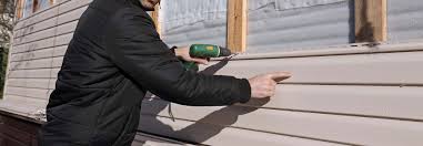 Best Storm Damage Siding Repair  in Crystal Lake, IL